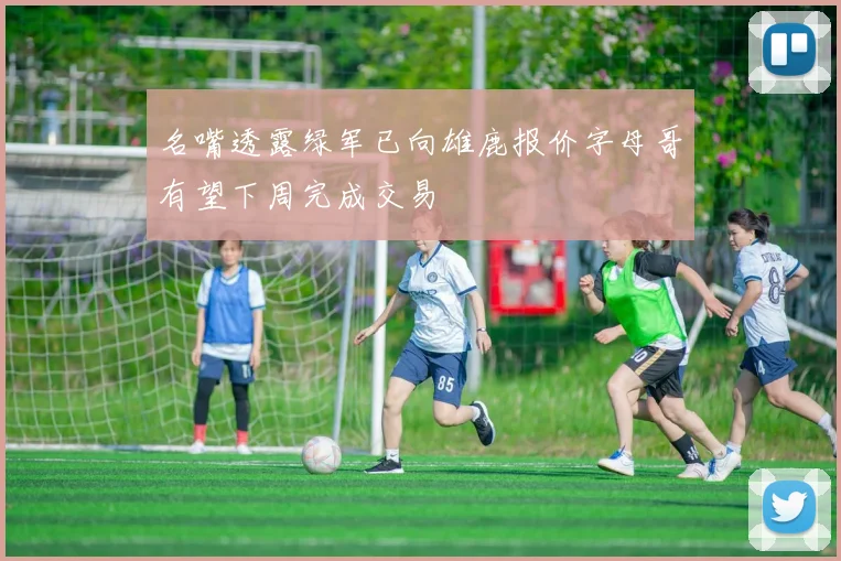 名嘴透露绿军已向雄鹿报价字母哥有望下周完成交易